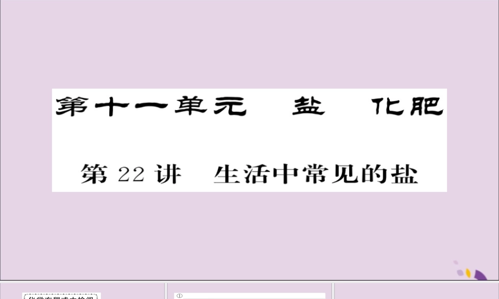 中考化学总复习 第一轮复习 系统梳理 夯基固本 第22讲 生活中常见的盐课件