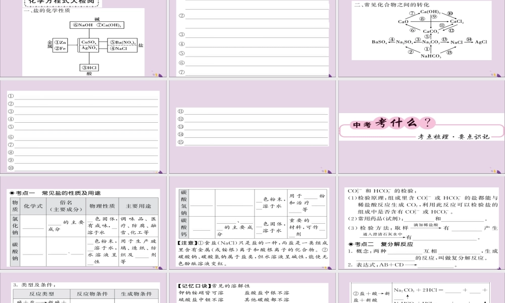 中考化学总复习 第一轮复习 系统梳理 夯基固本 第22讲 生活中常见的盐课件
