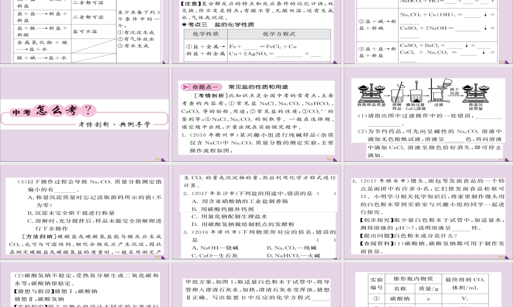 中考化学总复习 第一轮复习 系统梳理 夯基固本 第22讲 生活中常见的盐课件
