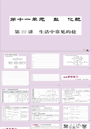 中考化学总复习 第一轮复习 系统梳理 夯基固本 第22讲 生活中常见的盐课件