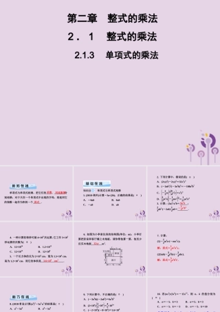 七年级数学下册 第2章(整式的乘法)2.1 整式的乘法 2.1.3 单项式的乘法习题课件 (新版)湘教版 课件