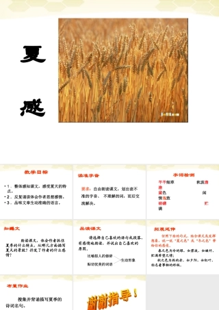 中学七年级语文(夏感)课件 人教新课标版 课件
