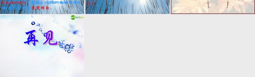 九年级语文下册 蜘蛛课件 浙教版 课件