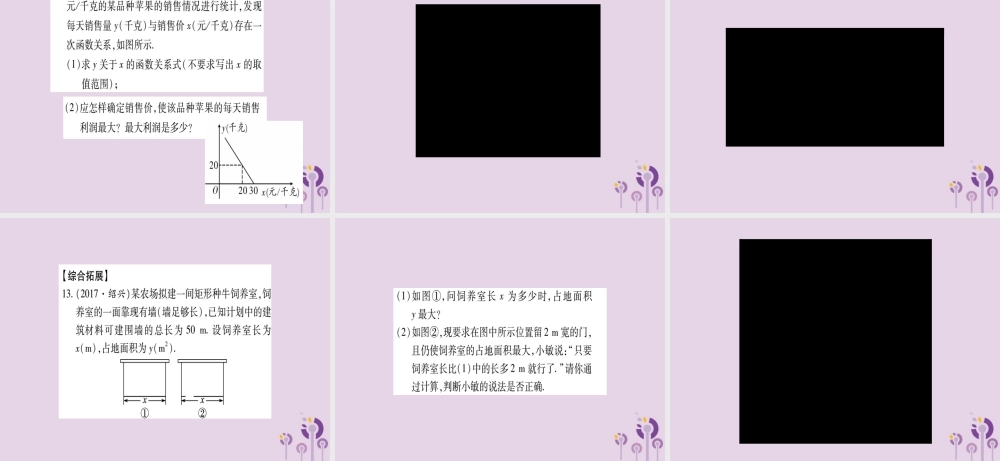 九年级数学下册 第1章 二次函数 15 二次函数的应用作业课件 (新版)湘教版 课件