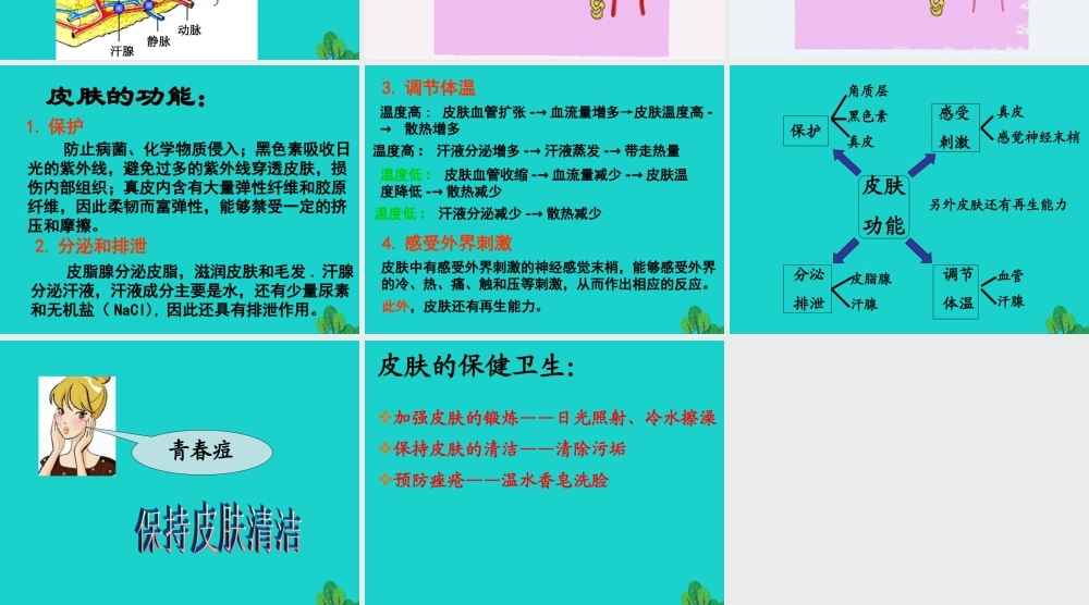 七年级生物下册 第三单元 第四章 第二节 汗液的形成和排出课件 (新版)济南版 课件