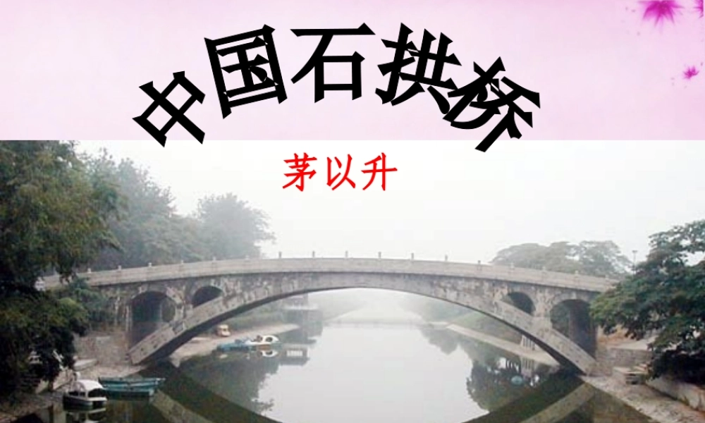 八年级语文上册 11 中国石拱桥课件3 (新版)新人教版 课件