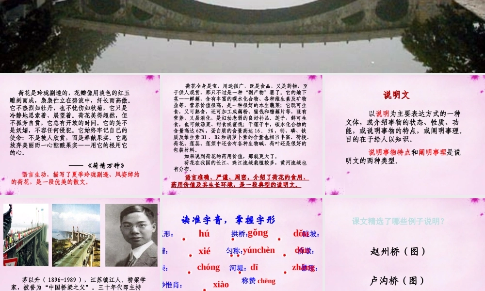 八年级语文上册 11 中国石拱桥课件3 (新版)新人教版 课件