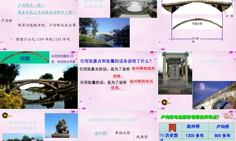 八年级语文上册 11 中国石拱桥课件3 (新版)新人教版 课件