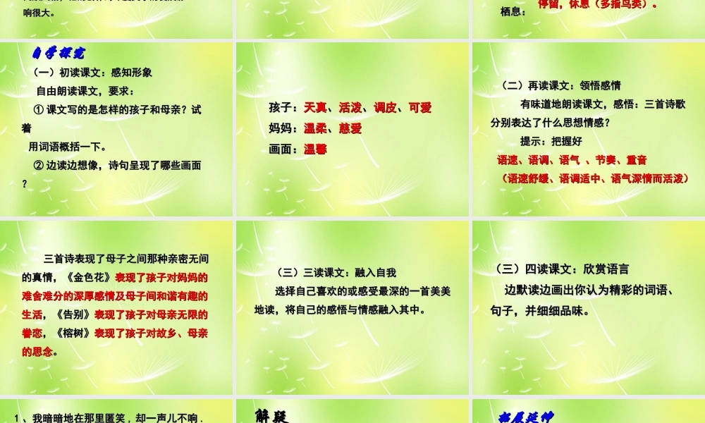 中学七年级语文上册 泰戈尔诗三首课件 苏教版 课件