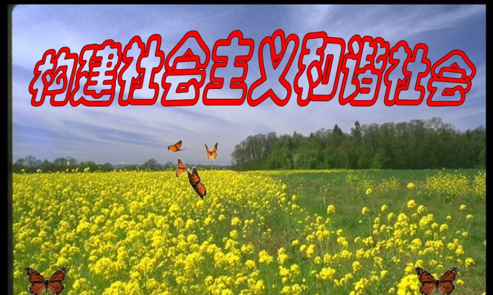 人教版 新课标初三政治建设社会主义和谐社会 课件