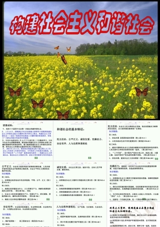 人教版 新课标初三政治建设社会主义和谐社会 课件