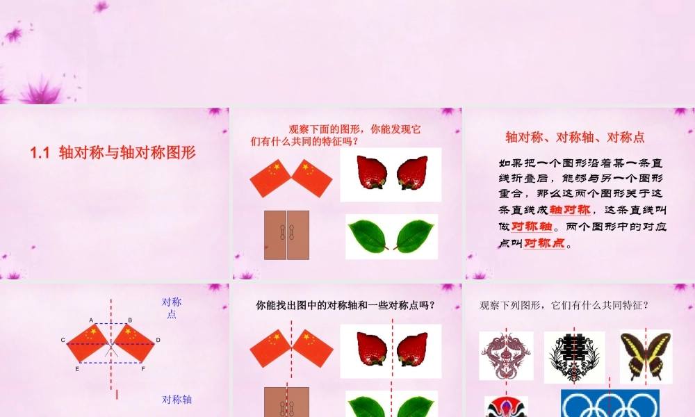 八年级数学上册 1.1 轴对称与轴对称图形课件 苏科版 课件