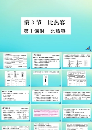 九年级物理全册 第十三章 内能 第三节 第1课时 比热容习题讲评课件 (新版)新人教版 课件