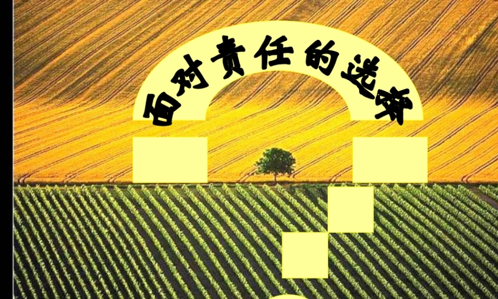 九年级政治 面对责任的选择课件 鲁教版 课件