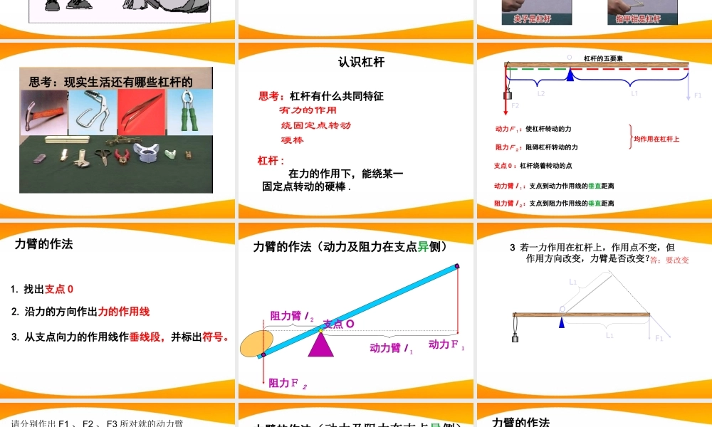 九年级物理(杠杆)优质精品课件 人教新课标版 课件
