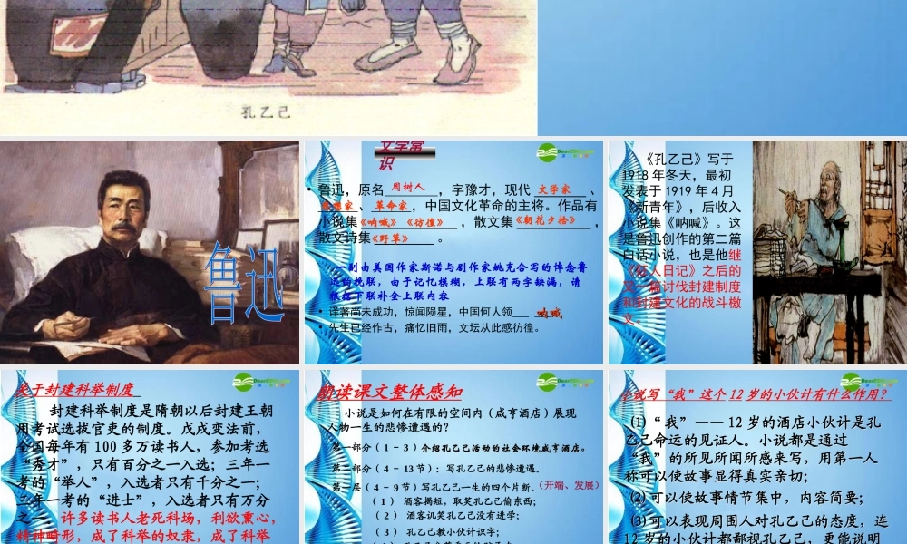 八年级语文下册(孔乙己)课件 苏教版 课件