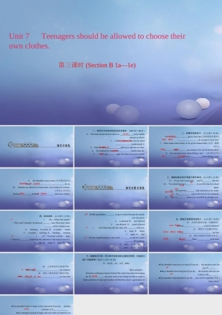 九年级英语全册 Unit 7 Teenagers should be allowed to choose their own clothes(第3课时)Section B(1a 1e)习题课件 (新版)人教新目标版 课件
