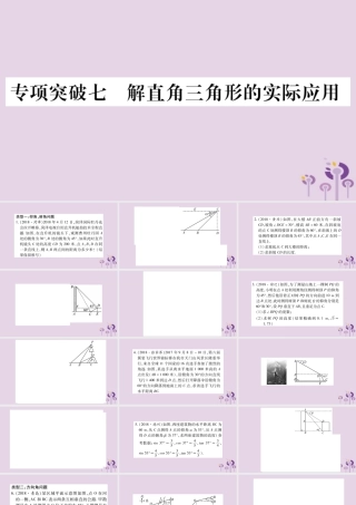 中考数学复习 第二轮 中档题突破 专项突破7 解直角三角形的实际应用习题课件