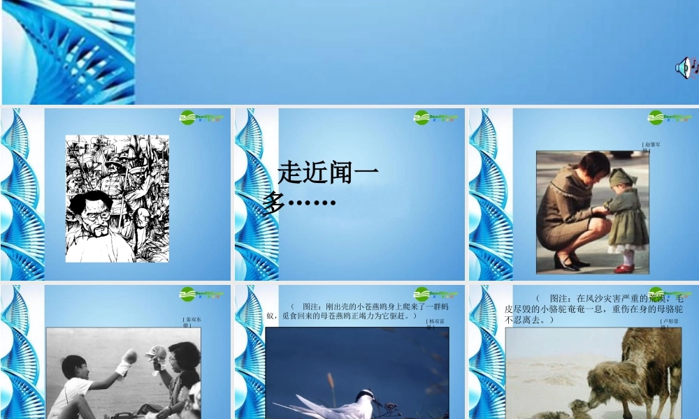 七年级语文下册(七子之歌)课件 苏教版 课件