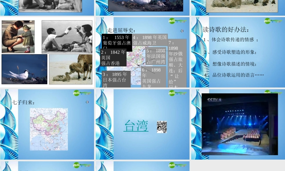 七年级语文下册(七子之歌)课件 苏教版 课件