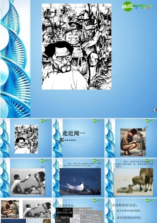 七年级语文下册(七子之歌)课件 苏教版 课件