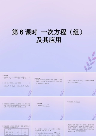 中考数学复习 第6课时 一次方程(组)及其应用(课后作业)课件