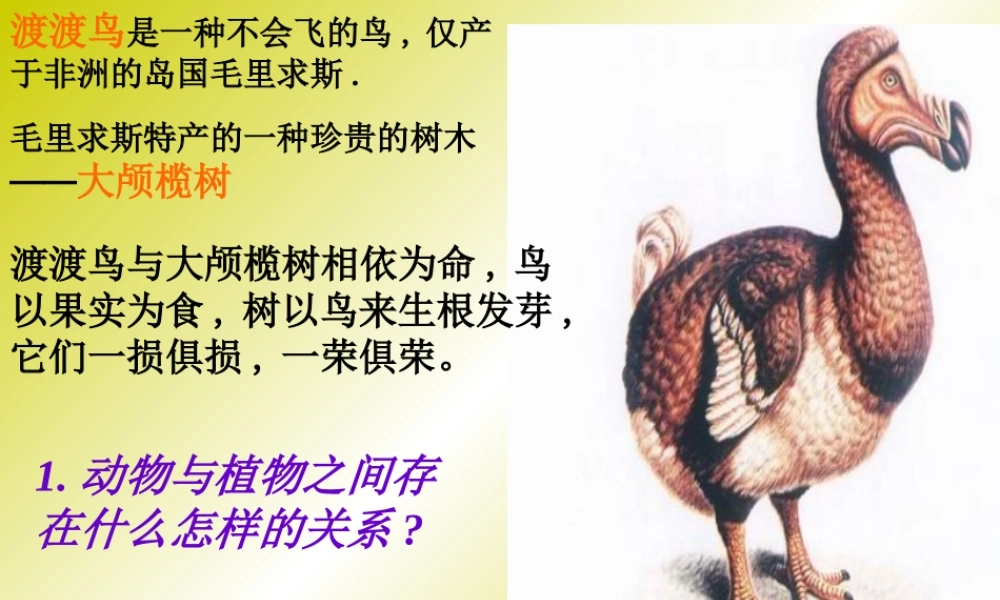 山西地区八年级生物第一节动物在自然界中的作用课件 新课标 人教版 课件