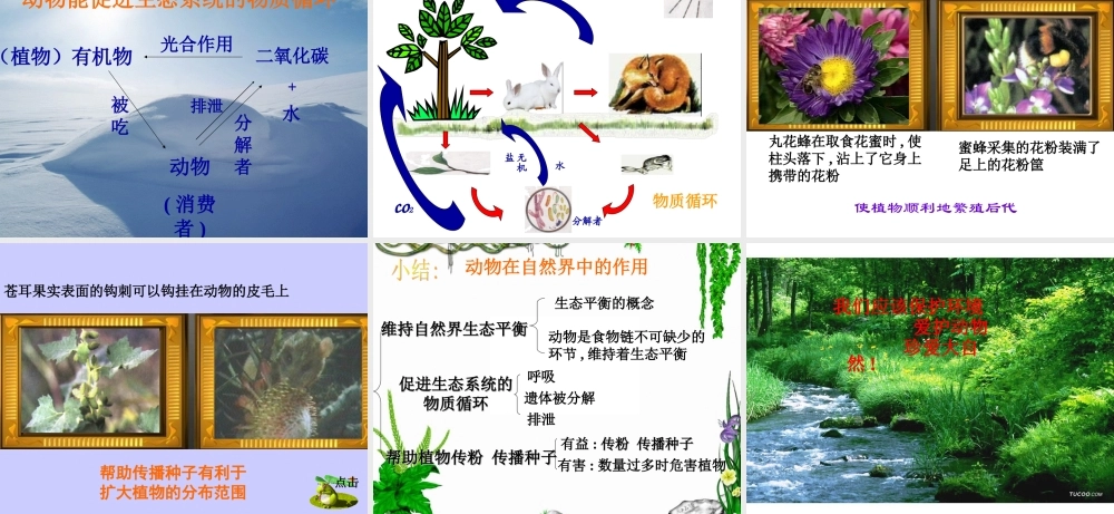 山西地区八年级生物第一节动物在自然界中的作用课件 新课标 人教版 课件