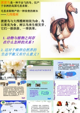 山西地区八年级生物第一节动物在自然界中的作用课件 新课标 人教版 课件