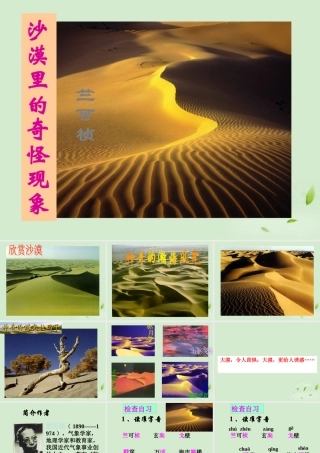 八年级语文下学期 沙漠里的奇怪课件 苏教版 课件