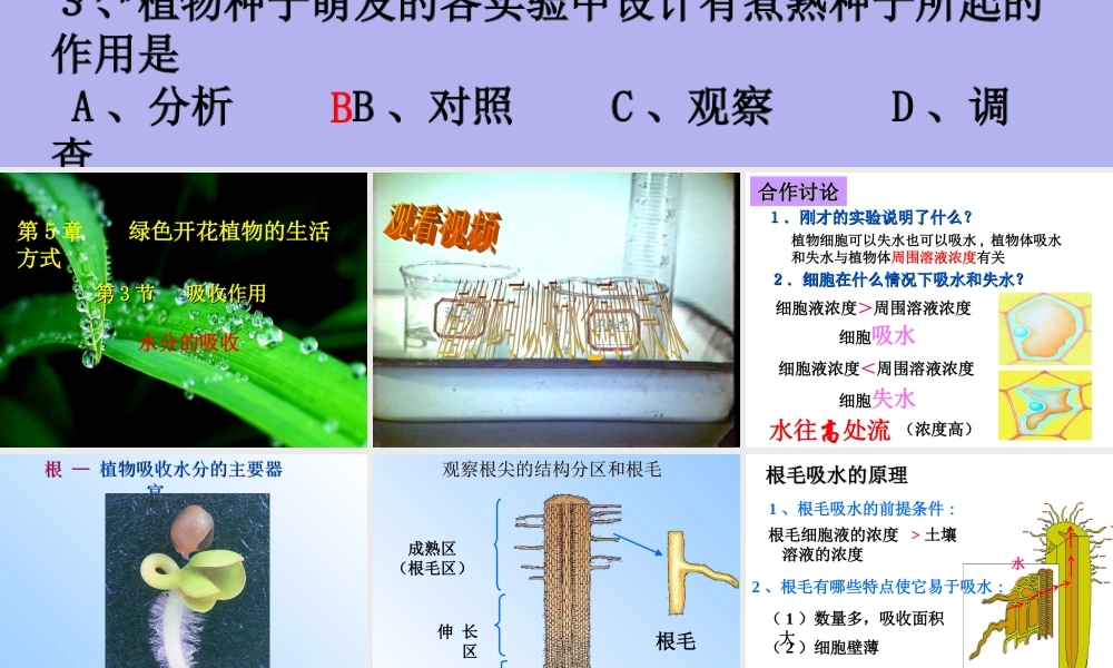 吸收作用 七年级生物上册_第三单元 生物圈中的绿色植物_第3节 吸收作用课件 北师大版