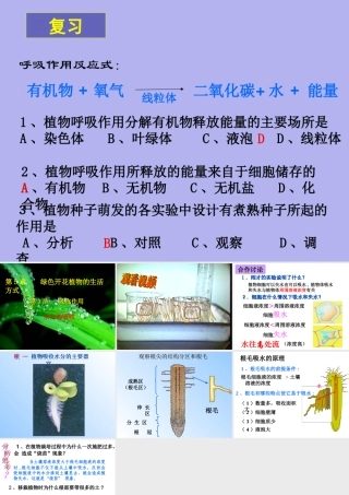 吸收作用 七年级生物上册_第三单元 生物圈中的绿色植物_第3节 吸收作用课件 北师大版
