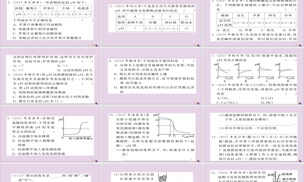 中考化学总复习 第一轮复习 系统梳理 夯基固本 第21讲 酸和碱的中和反应练习课件