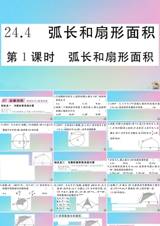九年级数学上册 第24章(圆)244 弧长及扇形的面积 第1课时 弧长与扇形面积作业课件 (新版)新人教版 课件