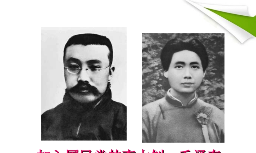 八年级历史上册 第14课国民革命的洪流课件 北师大版 课件