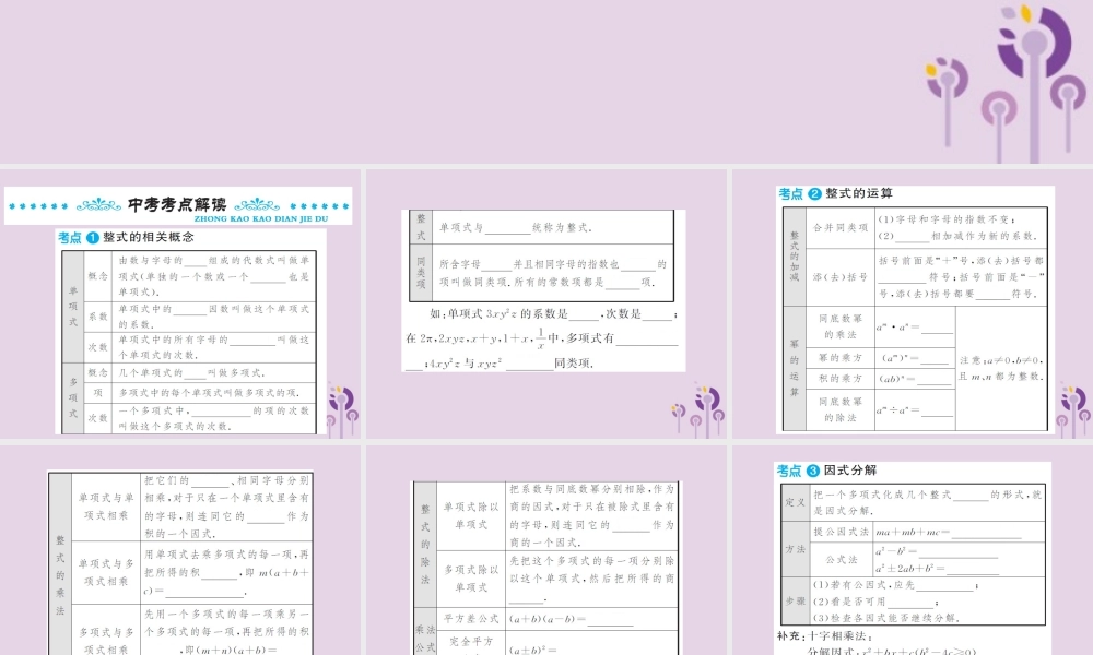 中考数学总复习 第一章 第二节 整式与因式分解课件