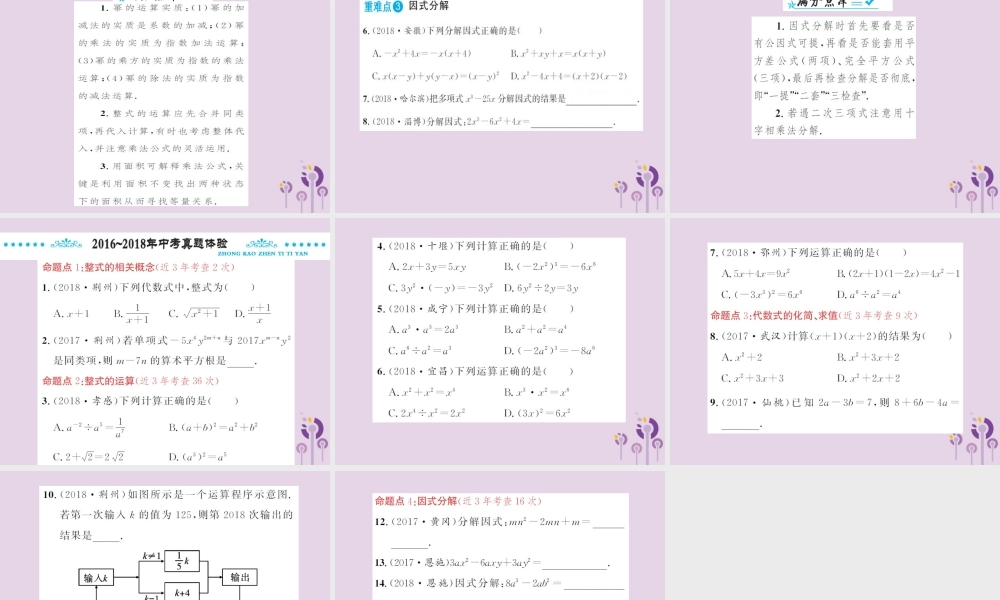 中考数学总复习 第一章 第二节 整式与因式分解课件