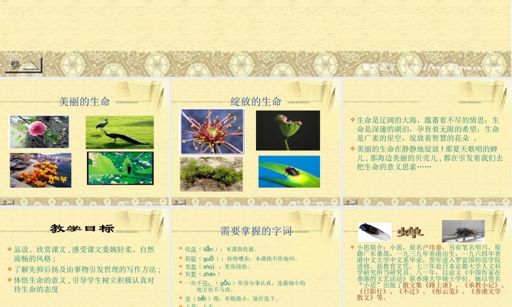 中学七年级语文上册 短文两篇课件 新人教版 课件