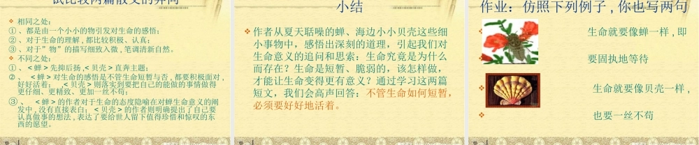 中学七年级语文上册 短文两篇课件 新人教版 课件