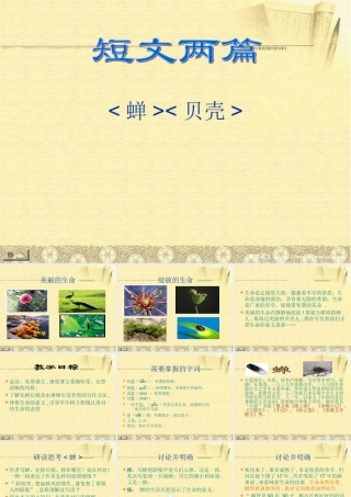 中学七年级语文上册 短文两篇课件 新人教版 课件