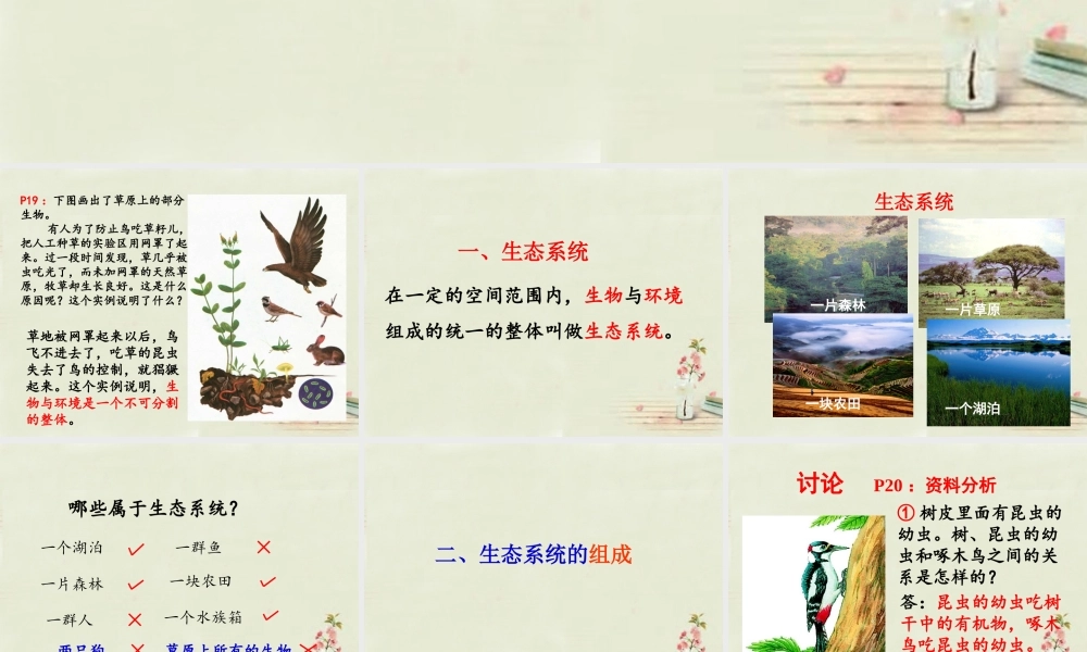 中学七年级生物上册 1.2.2 生物与环境组成生态系统课件 (新版)新人教版 课件