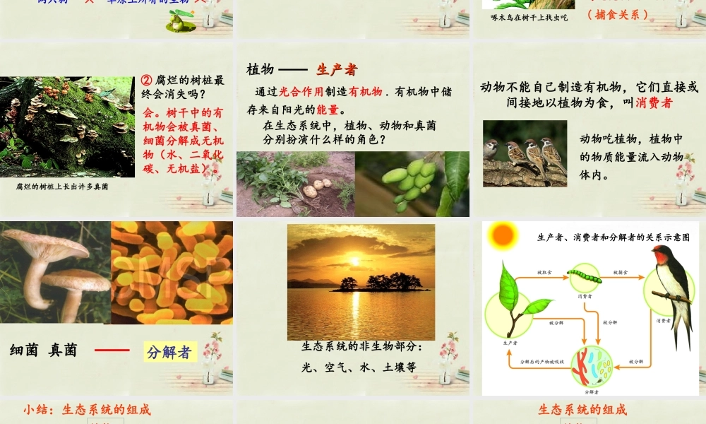 中学七年级生物上册 1.2.2 生物与环境组成生态系统课件 (新版)新人教版 课件