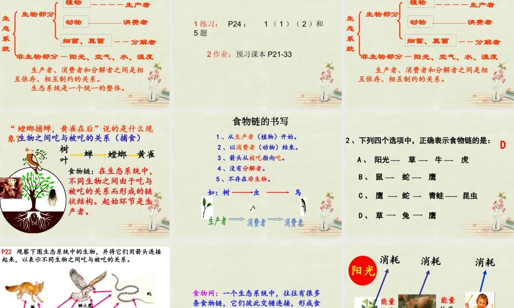 中学七年级生物上册 1.2.2 生物与环境组成生态系统课件 (新版)新人教版 课件