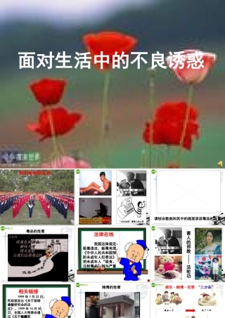 山东省七年级政治下册(面对生活中的不良诱惑)课件 鲁教版 课件