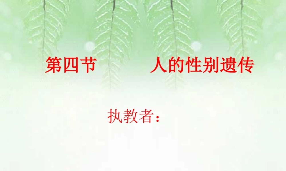 人的性别遗传八年级生物课件示例二 课件