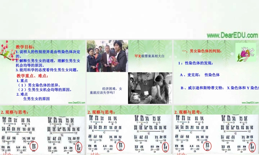 人的性别遗传八年级生物课件示例二 课件