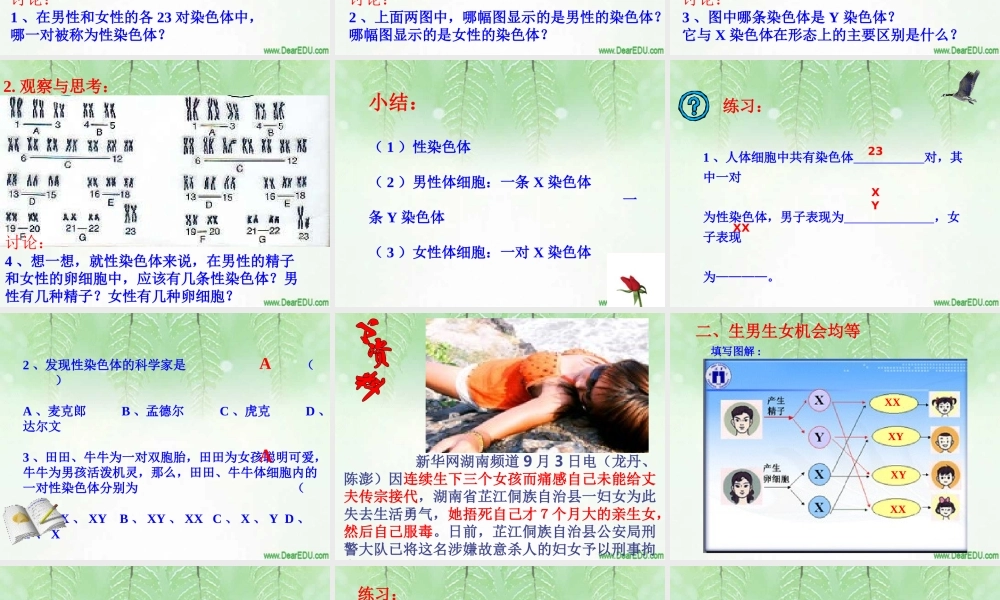 人的性别遗传八年级生物课件示例二 课件