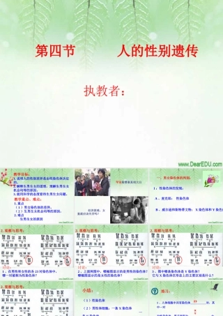 人的性别遗传八年级生物课件示例二 课件