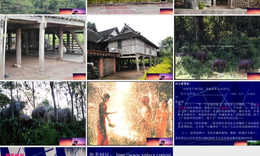 八年级语文美丽的西双版纳课件 苏教版 课件