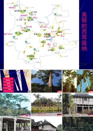 八年级语文美丽的西双版纳课件 苏教版 课件